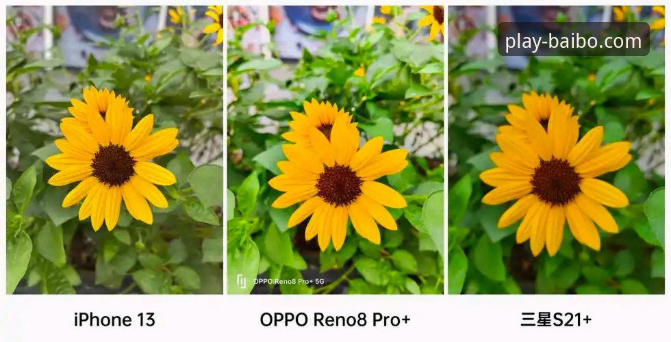 资深用户实测分享：百博官网手机入口对比体验，这些细节让你少走弯路